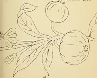 Picture 117 of 389 from Briggs' patent transferring designs (1880), leaf 56