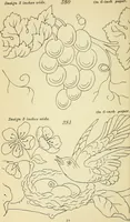 Picture 118 of 389 from Briggs' patent transferring designs (1880), leaf 57