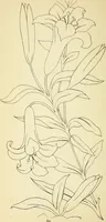 Picture 133 of 389 from Briggs' patent transferring designs (1880), leaf 67