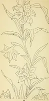 Picture 140 of 389 from Briggs' patent transferring designs (1880), leaf 73