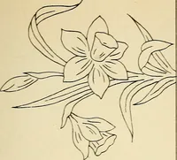 Picture 143 of 389 from Briggs' patent transferring designs (1880), leaf 76
