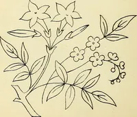 Picture 151 of 389 from Briggs' patent transferring designs (1880), leaf 81