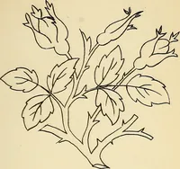 Picture 152 of 389 from Briggs' patent transferring designs (1880), leaf 82