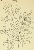 Picture 157 of 389 from Briggs' patent transferring designs (1880), leaf 85