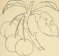 Picture 162 of 389 from Briggs' patent transferring designs (1880), leaf 88