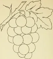 Picture 164 of 389 from Briggs' patent transferring designs (1880), leaf 89