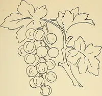Picture 166 of 389 from Briggs' patent transferring designs (1880), leaf 90