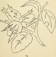 Picture 167 of 389 from Briggs' patent transferring designs (1880), leaf 90