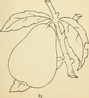 Picture 171 of 389 from Briggs' patent transferring designs (1880), leaf 92