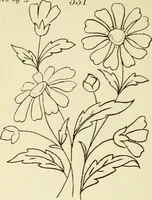 Picture 172 of 389 from Briggs' patent transferring designs (1880), leaf 93