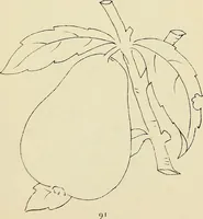 An illustration from Briggs & Co.'s patent transferring papers : patented for the United States of America (1880)