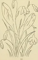 An illustration from Briggs & Co.'s patent transferring papers : patented for the United States of America (1880)
