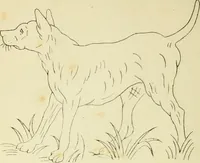 An illustration from Briggs & Co.'s patent transferring papers : patented for the United States of America (1880)