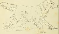 An illustration from Briggs & Co.'s patent transferring papers : patented for the United States of America (1880)