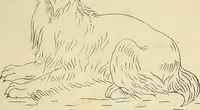 An illustration from Briggs & Co.'s patent transferring papers : patented for the United States of America (1880)
