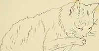 An illustration from Briggs & Co.'s patent transferring papers : patented for the United States of America (1880)