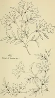 An illustration from Briggs & Co.'s patent transferring papers : patented for the United States of America (1880)