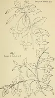 An illustration from Briggs & Co.'s patent transferring papers : patented for the United States of America (1880)