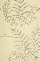 An illustration from Briggs & Co.'s patent transferring papers : patented for the United States of America (1880)
