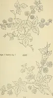 An illustration from Briggs & Co.'s patent transferring papers : patented for the United States of America (1880)