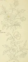 An illustration from Briggs & Co.'s patent transferring papers : patented for the United States of America (1880)
