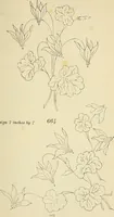 An illustration from Briggs & Co.'s patent transferring papers : patented for the United States of America (1880)