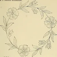 An illustration from Briggs & Co.'s patent transferring papers : patented for the United States of America (1880)