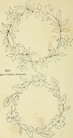 An illustration from Briggs & Co.'s patent transferring papers : patented for the United States of America (1880)