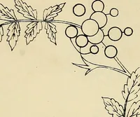 An illustration from Briggs & Co.'s patent transferring papers : patented for the United States of America (1880)