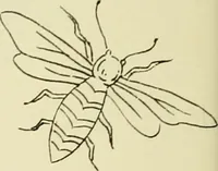 An illustration from Briggs & Co.'s patent transferring papers : patented for the United States of America (1880)
