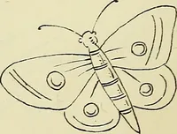 An illustration from Briggs & Co.'s patent transferring papers : patented for the United States of America (1880)