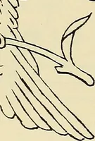 An illustration from Briggs & Co.'s patent transferring papers : patented for the United States of America (1880)
