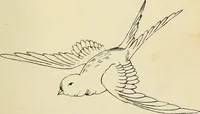 An illustration from Briggs & Co.'s patent transferring papers : patented for the United States of America (1880)