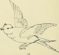 An illustration from Briggs & Co.'s patent transferring papers : patented for the United States of America (1880)