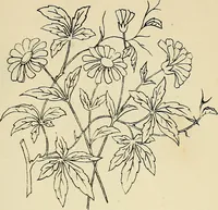 An illustration from Briggs & Co.'s patent transferring papers : patented for the United States of America (1880)