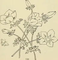 An illustration from Briggs & Co.'s patent transferring papers : patented for the United States of America (1880)