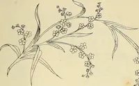 An illustration from Briggs & Co.'s patent transferring papers : patented for the United States of America (1880)