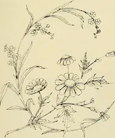 An illustration from Briggs & Co.'s patent transferring papers : patented for the United States of America (1880)
