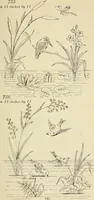 An illustration from Briggs & Co.'s patent transferring papers : patented for the United States of America (1880)