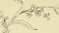 An illustration from Briggs & Co.'s patent transferring papers : patented for the United States of America (1880)