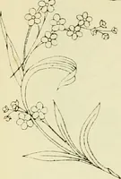 An illustration from Briggs & Co.'s patent transferring papers : patented for the United States of America (1880)