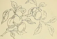 An illustration from Briggs & Co.'s patent transferring papers : patented for the United States of America (1880)