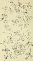 An illustration from Briggs & Co.'s patent transferring papers : patented for the United States of America (1880)
