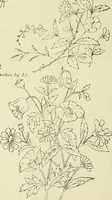An illustration from Briggs & Co.'s patent transferring papers : patented for the United States of America (1880)