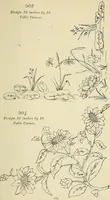 An illustration from Briggs & Co.'s patent transferring papers : patented for the United States of America (1880)