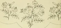 An illustration from Briggs & Co.'s patent transferring papers : patented for the United States of America (1880)