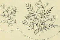 An illustration from Briggs & Co.'s patent transferring papers : patented for the United States of America (1880)