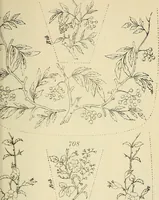 An illustration from Briggs & Co.'s patent transferring papers : patented for the United States of America (1880)