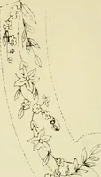 An illustration from Briggs & Co.'s patent transferring papers : patented for the United States of America (1880)
