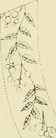 An illustration from Briggs & Co.'s patent transferring papers : patented for the United States of America (1880)